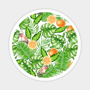 Tropical pattern, hummingbirds II Magnet